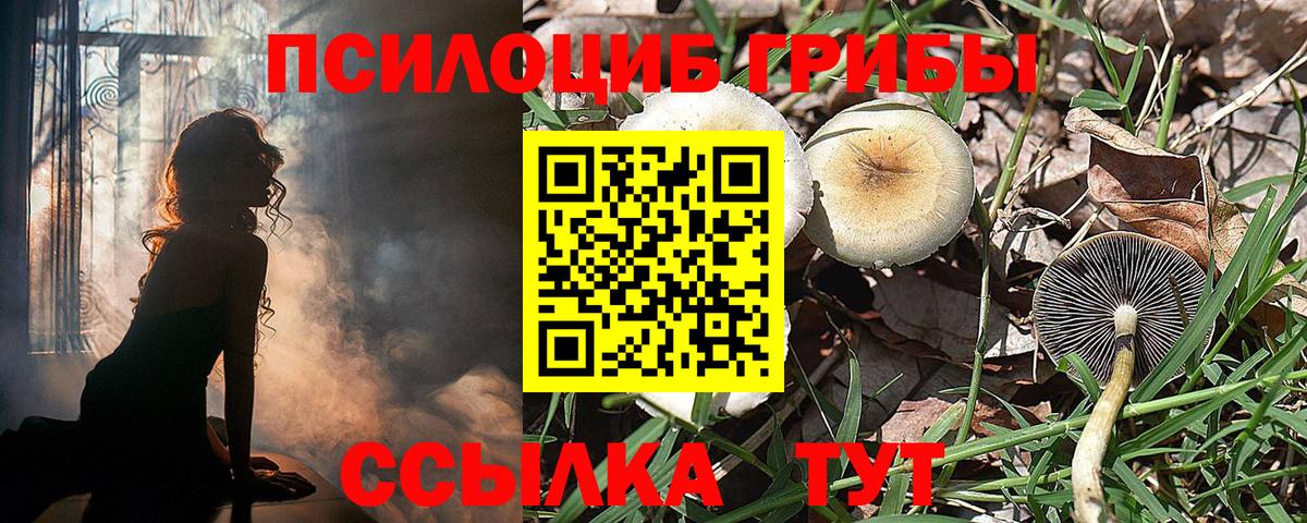 Дедовск  Галлюциногенные грибы MAGIC MUSHROOMS  Вход с VPN  Псилоцибиновые грибы Psilocybine cubensis 