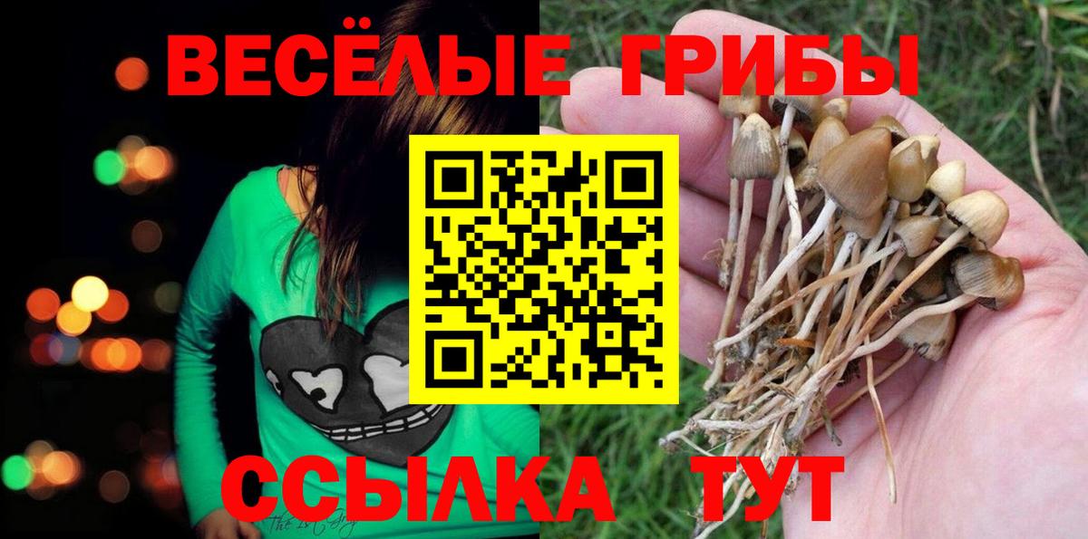 Галлюциногенные грибы GOLDEN TEACHER Дедовск